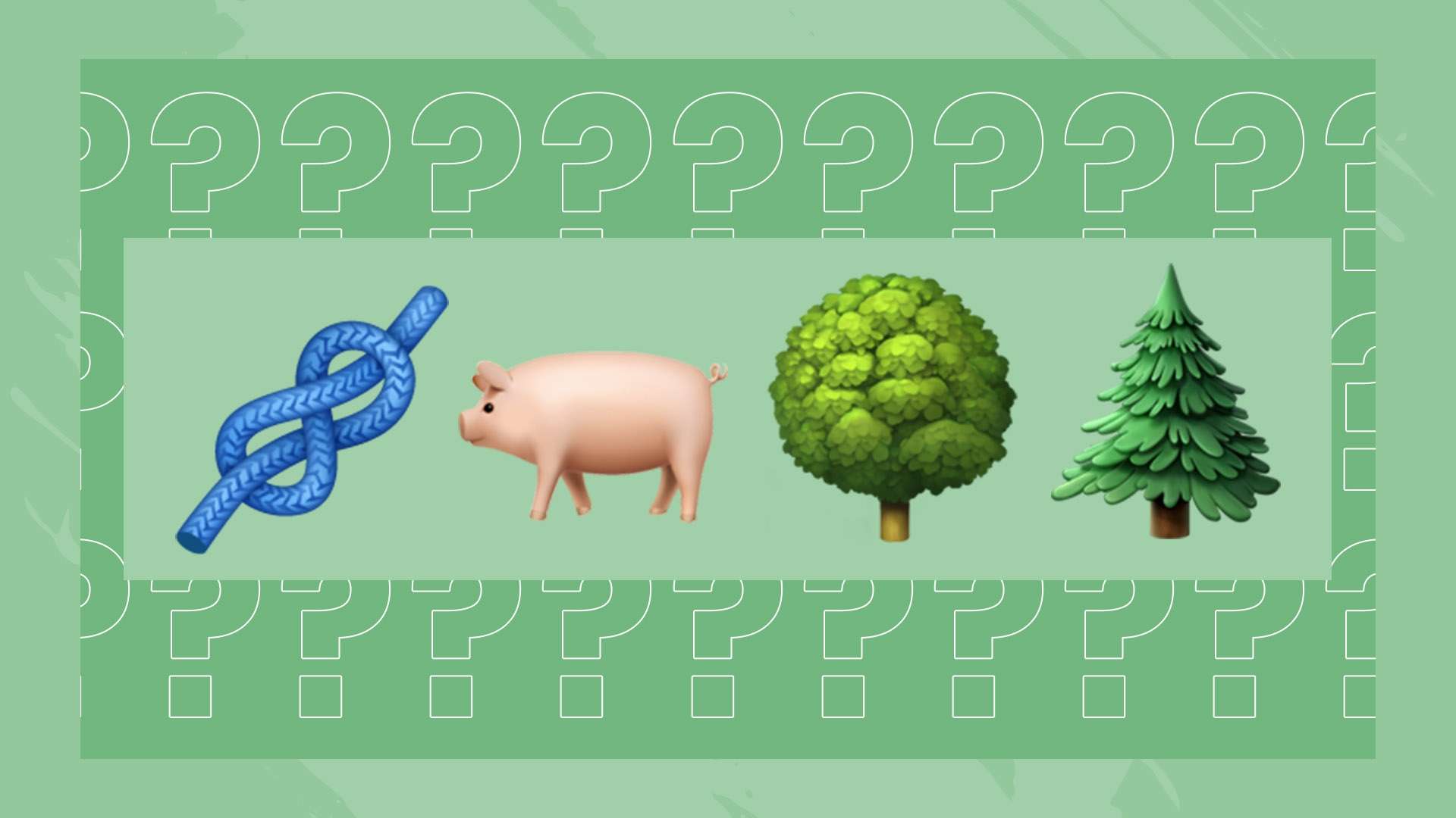 某研究团队 某研究团队