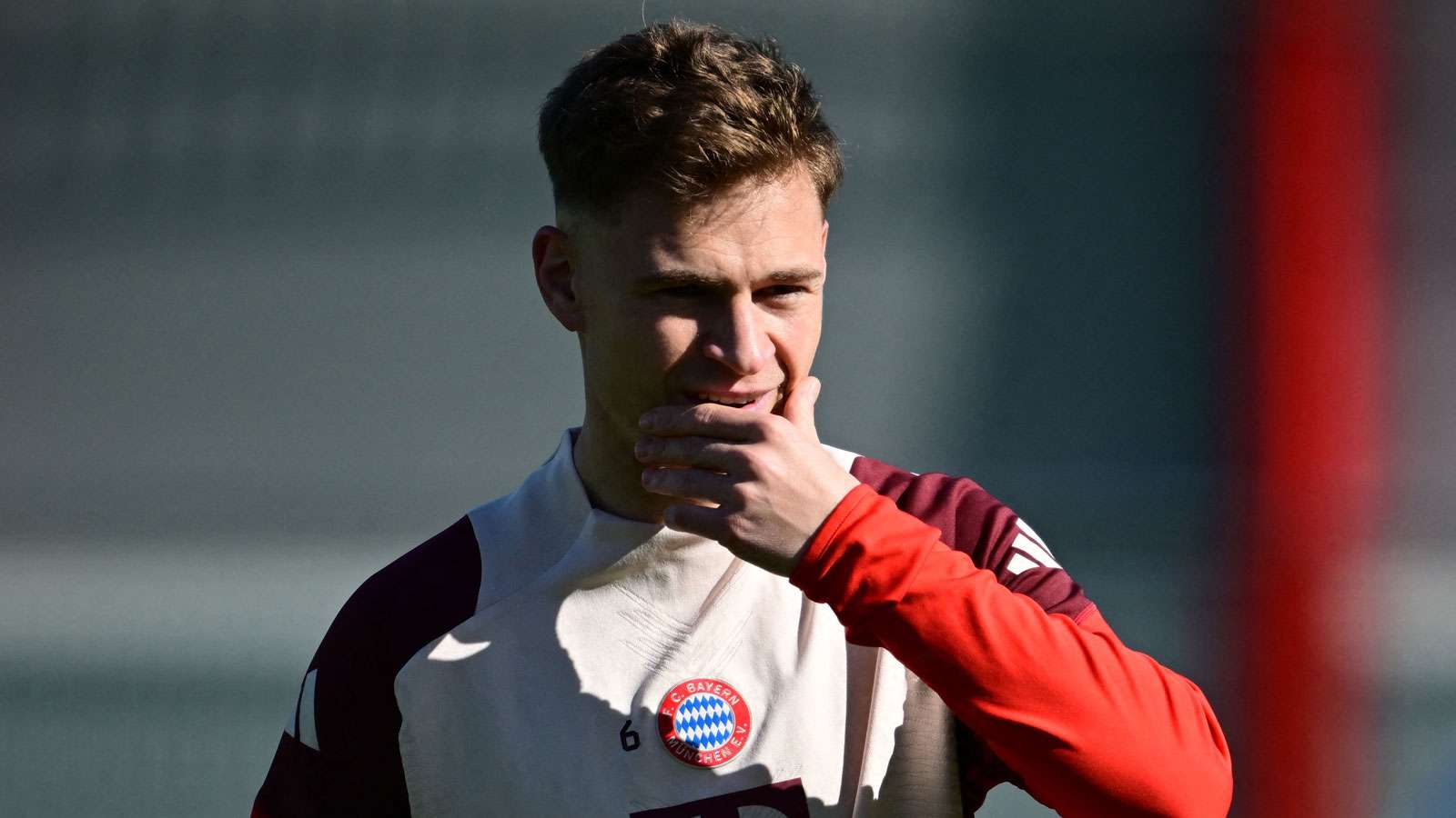 这种全能的 这种全能的